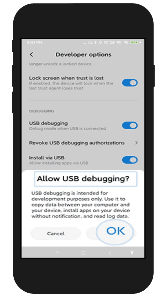 Enable USB Debugging on Xiaomi Phones