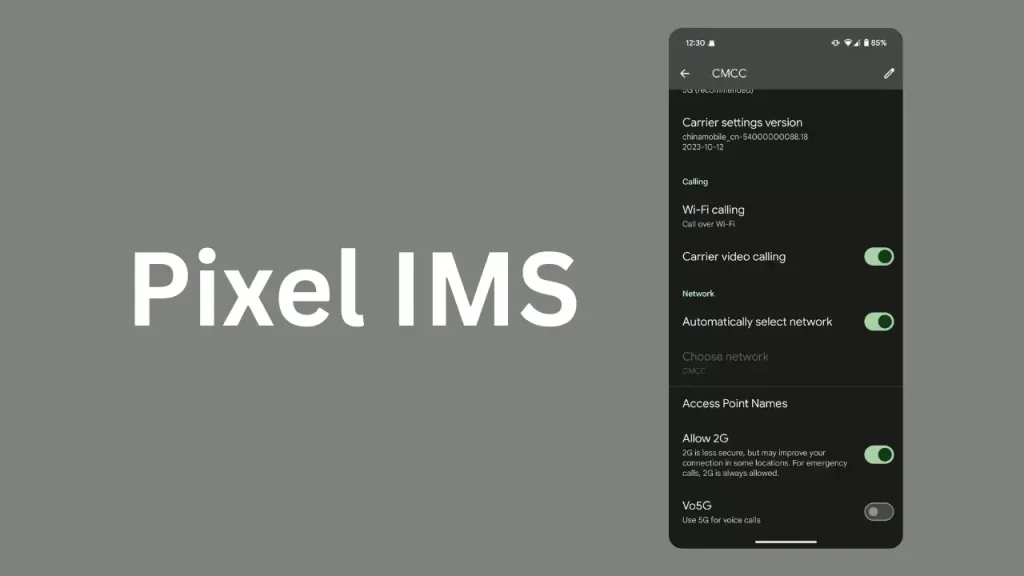 Pixel IMS Module